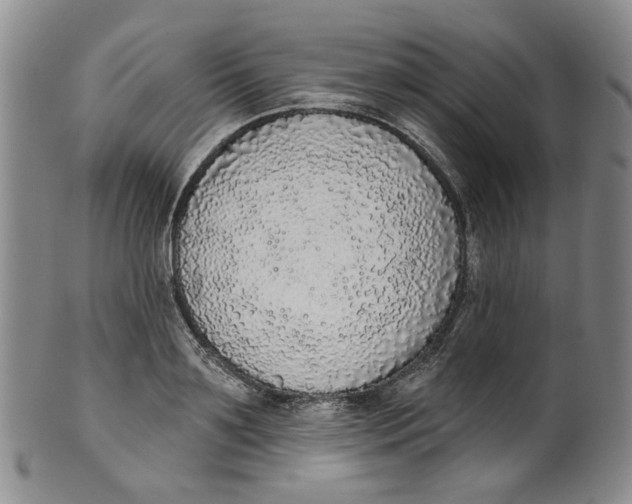 X0000100410891200806271441