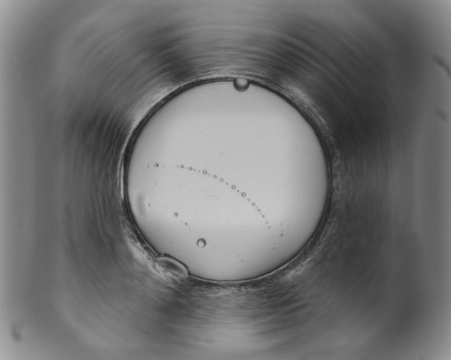 X0000100410892200806271441