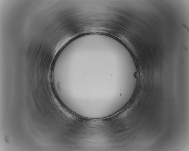 X0000100410893200806271441