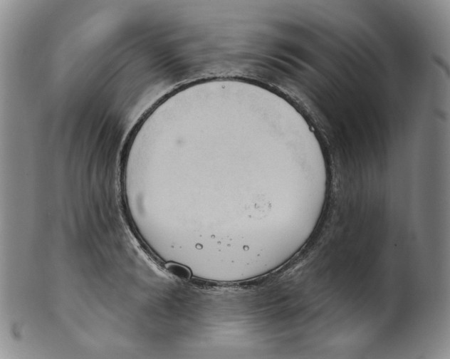 X0000100410894200806271441