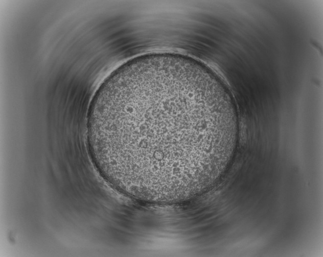 X0000100410895200806271441