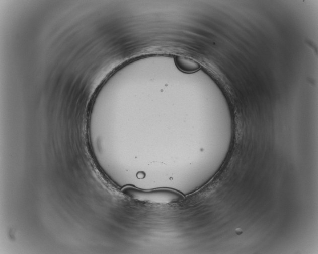 X0000100410896200806271441