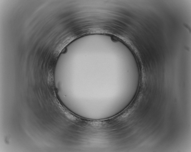 X0000100410897200806271441