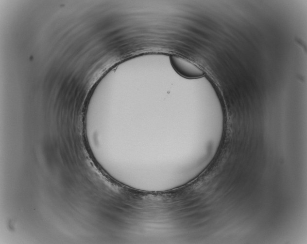 X0000100410898200806271441