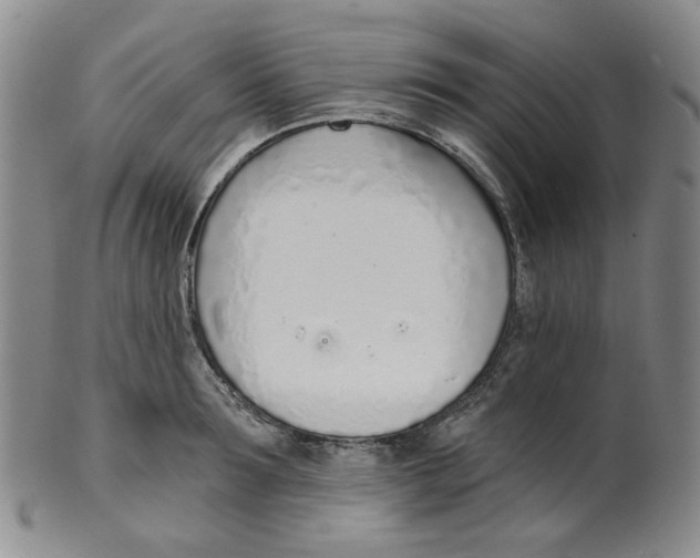 X0000100410899200806271441