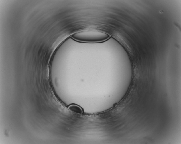 X0000100410900200806271441