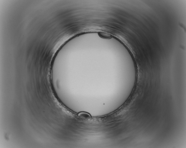 X0000100410901200806271441