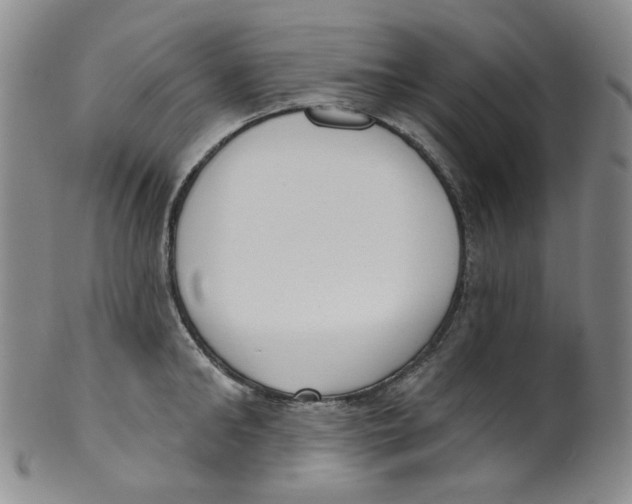 X0000100410902200806271441