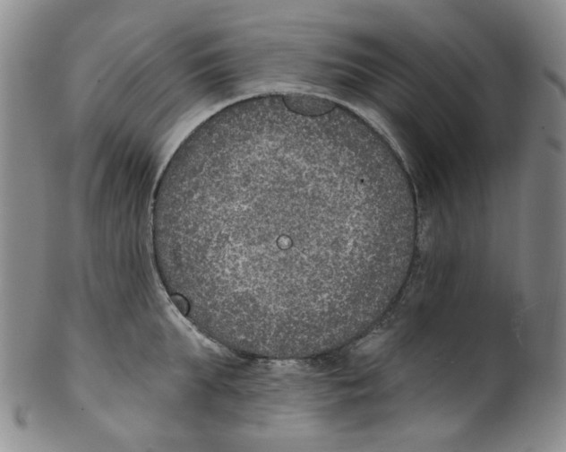 X0000100410903200806271441