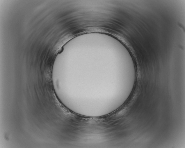 X0000100410905200806271441