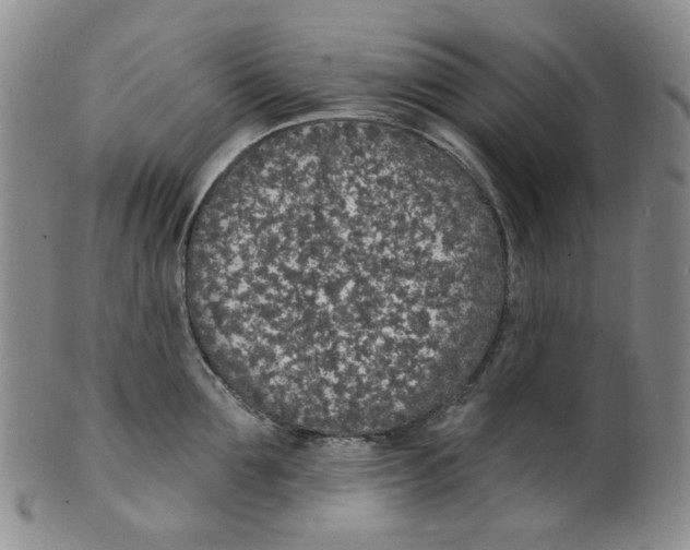 X0000100410907200806271441