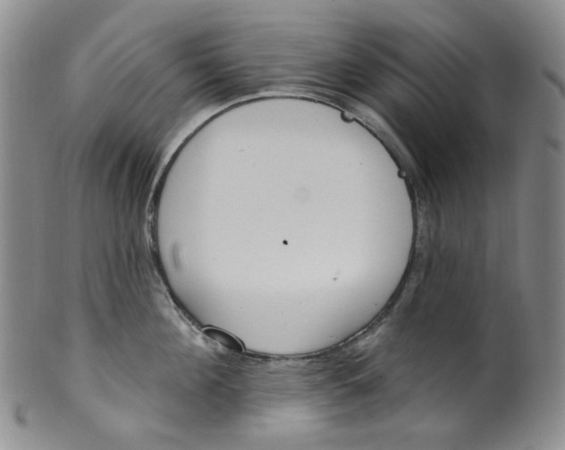 X0000100410908200806271441