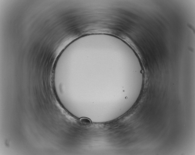 X0000100410909200806271441