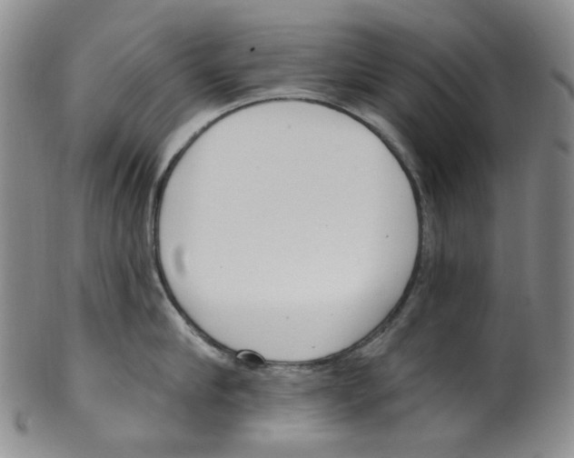 X0000100410910200806271441