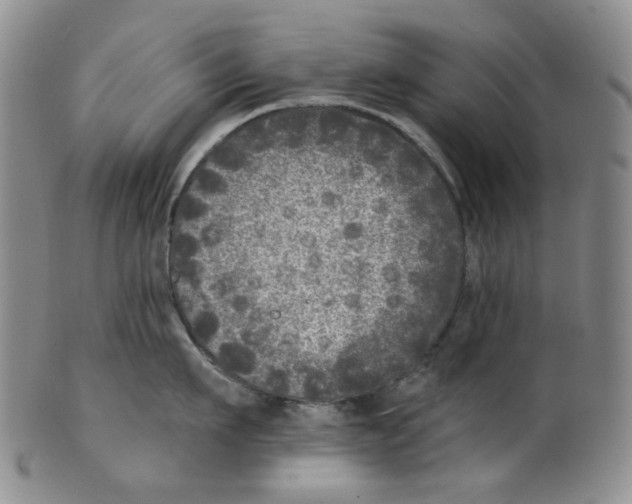 X0000100410911200806271441