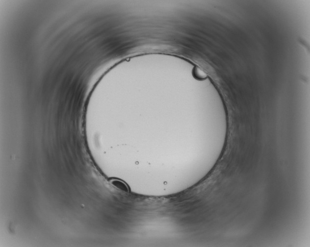 X0000100410912200806271441