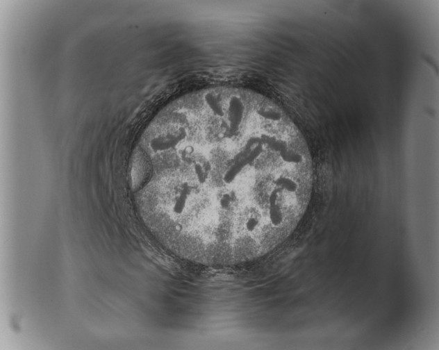 X0000100410913200806271440