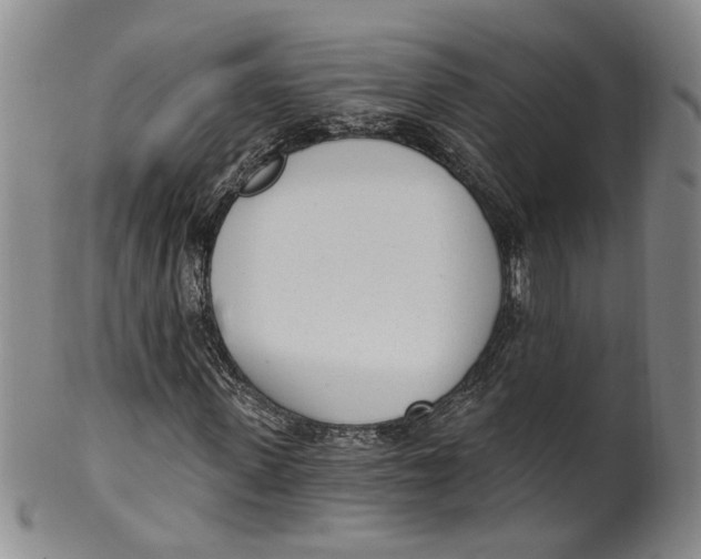 X0000100410915200806271440