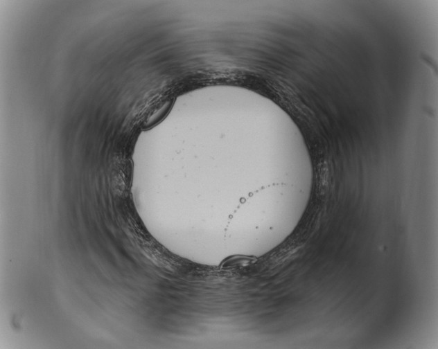 X0000100410916200806271440