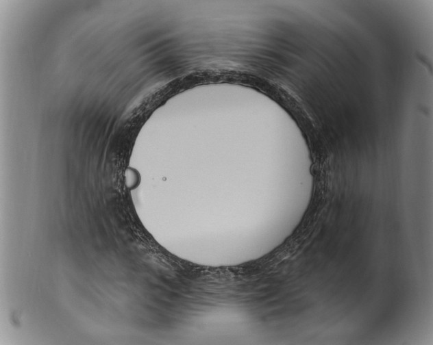 X0000100410919200806271440