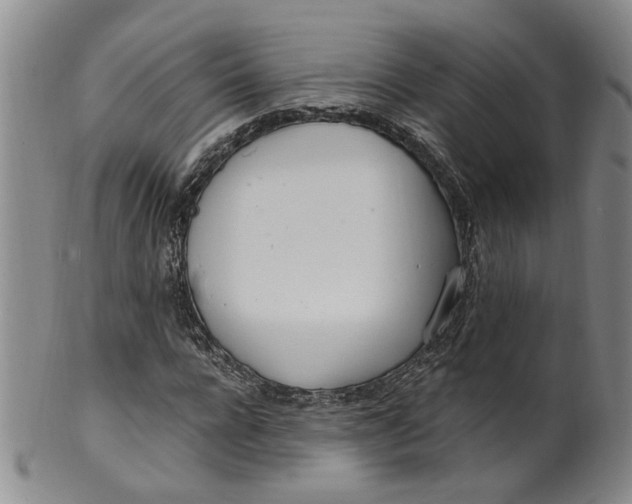 X0000100410920200806271440