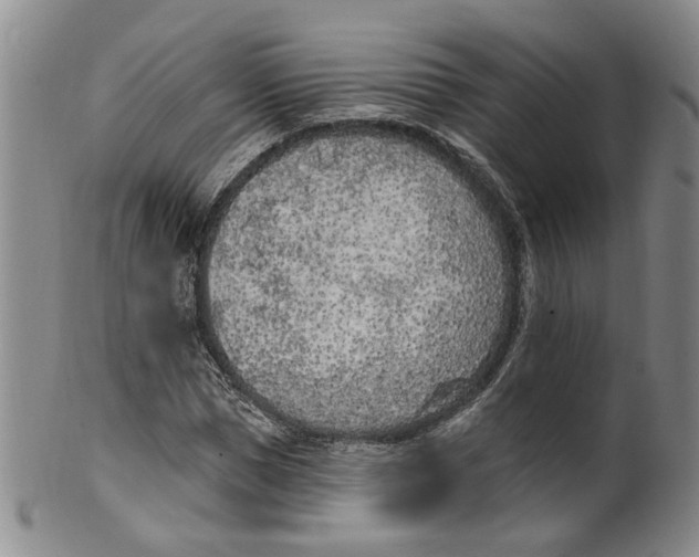 X0000100410921200806271440