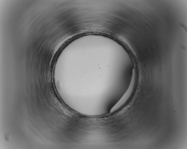 X0000100410924200806271440