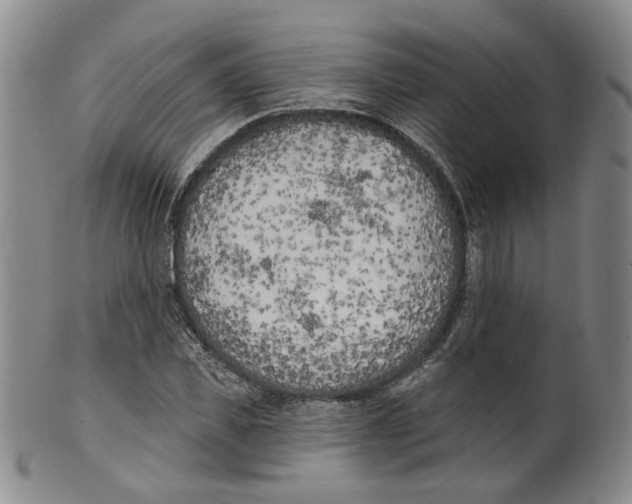 X0000100410925200806271440