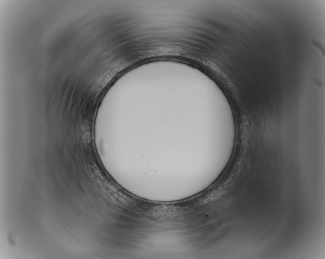 X0000100410929200806271440