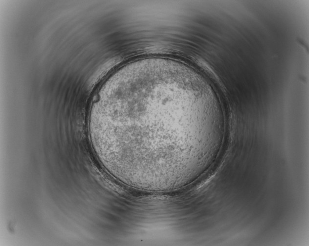 X0000100410930200806271440