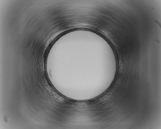 X0000100410931200806271440