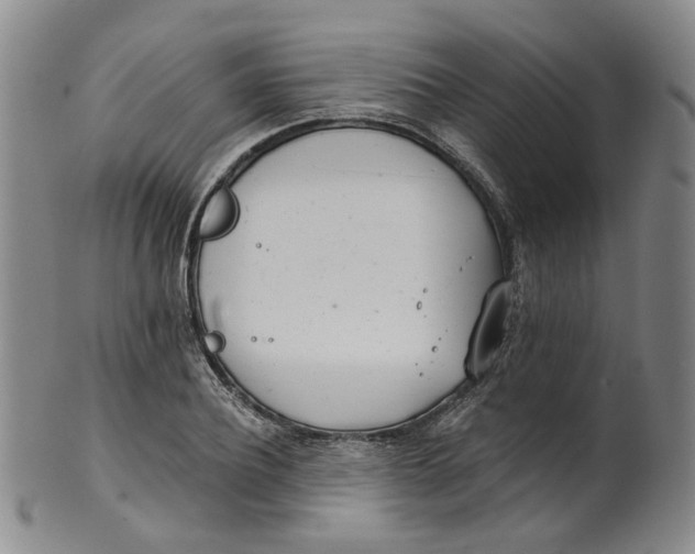 X0000100410932200806271440