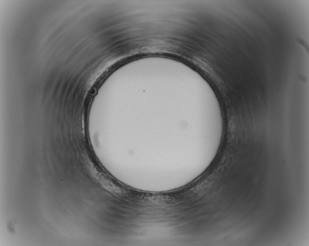 X0000100410934200806271440