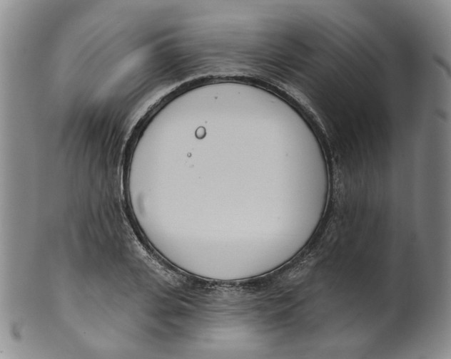 X0000100410935200806271440