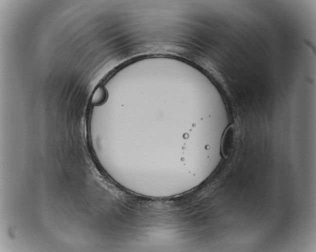 X0000100410936200806271440