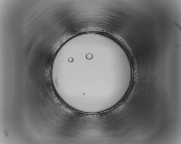 X0000100410937200806271440