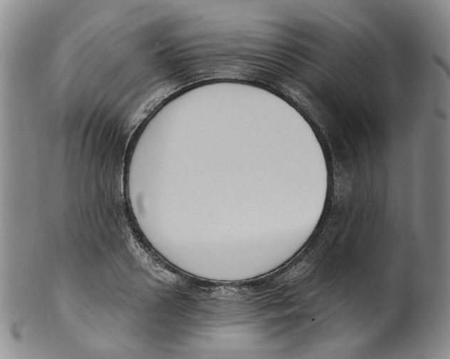 X0000100410938200806271440