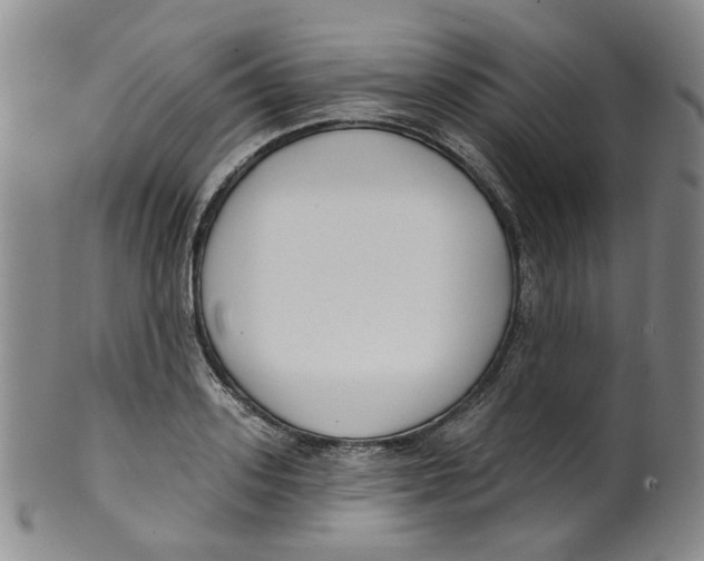 X0000100410939200806271440