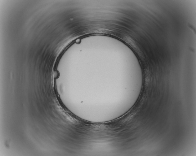 X0000100410940200806271440