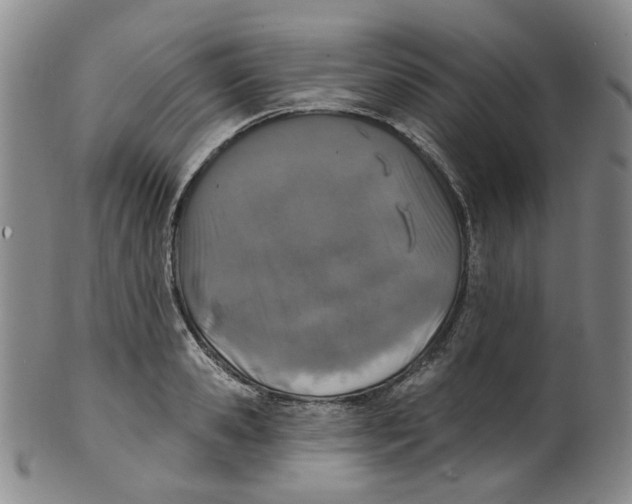 X0000100410941200806271440