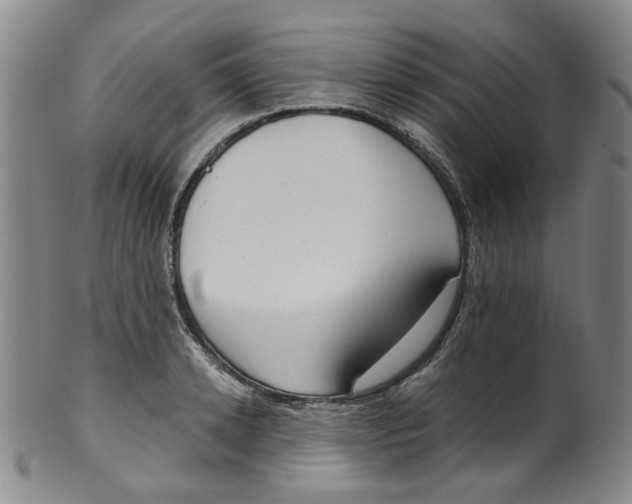 X0000100410942200806271440