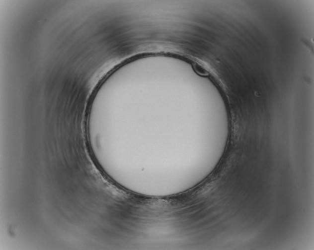 X0000100410943200806271440