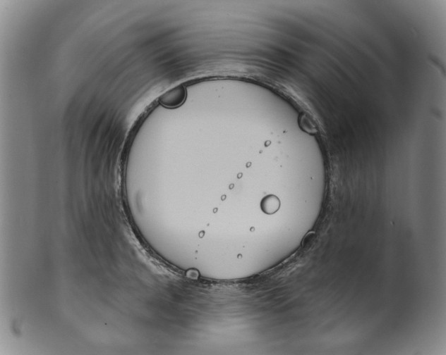 X0000100410944200806271440