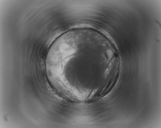 X0000100410945200806271440