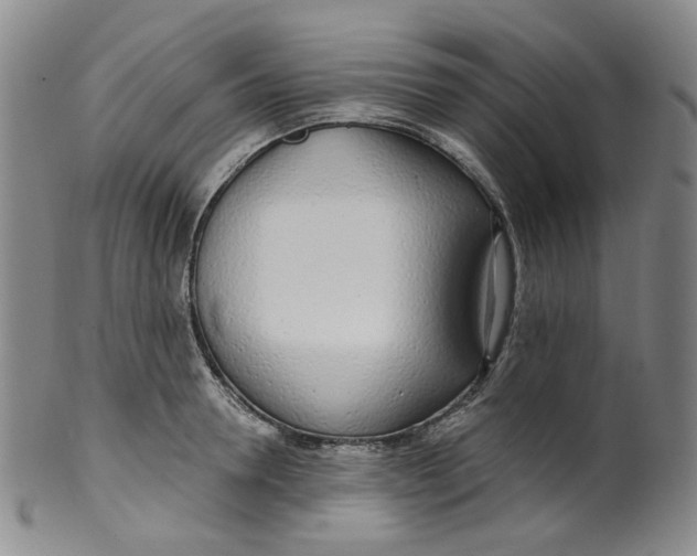 X0000100410946200806271440