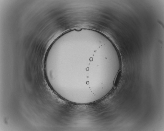 X0000100410949200806271441