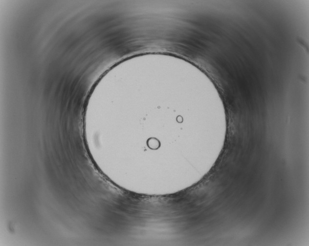 X0000100410950200806271441