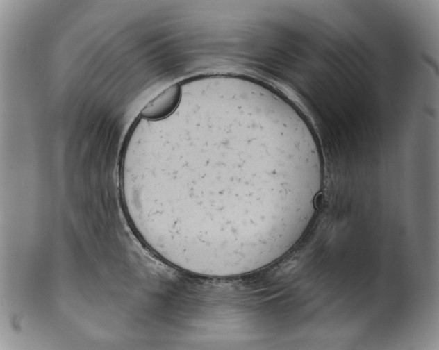 X0000100410951200806271441