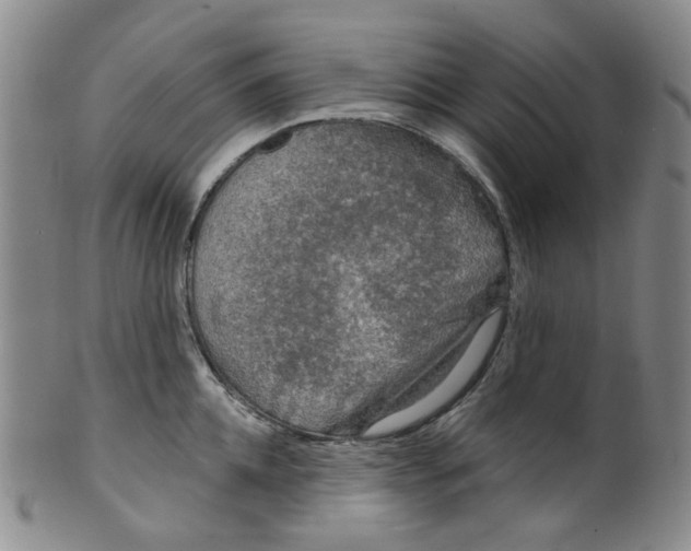 X0000100410952200806271441