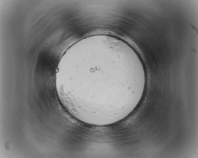 X0000100410953200806271441